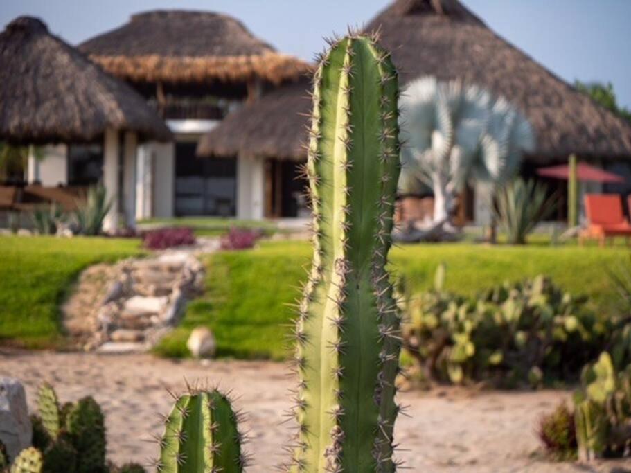 Villa De Las Rocas Puerto Escondido  Exteriör bild